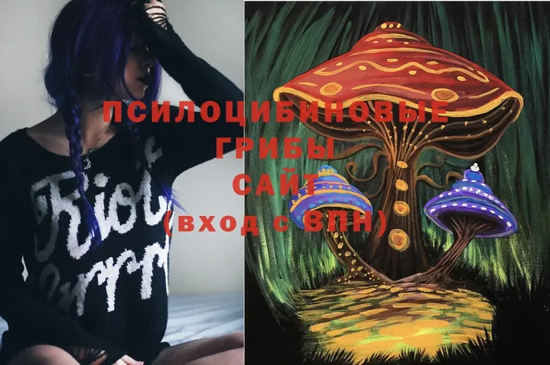 Галлюциногенные грибы Magic Shrooms  Чишмы 